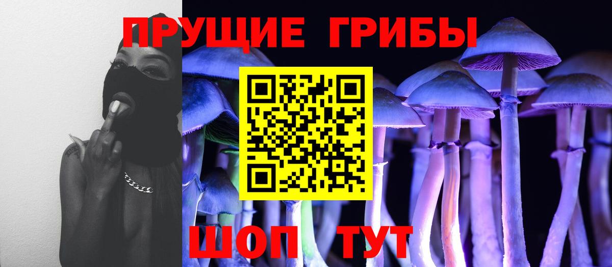 Псилоцибиновые грибы Psilocybe Балашов