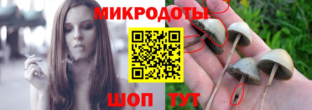 Балашов  Галлюциногенные грибы прущие грибы  Вход с VPN 