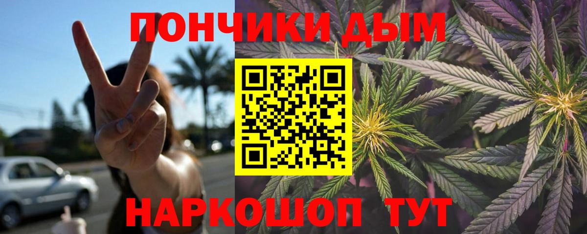 Балашов  Марихуана сатива  Конопля Ganja  Вход с VPN 